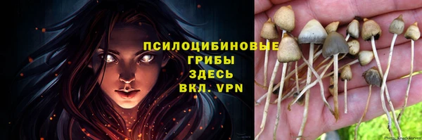 таблы Алзамай