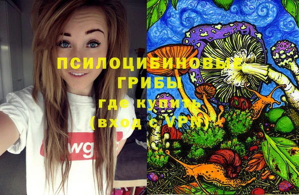 мет Алексин
