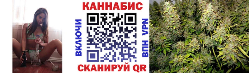 где продают   kraken рабочий сайт  Каннабис THC 21%  маркетплейс какой сайт  Новопавловск 